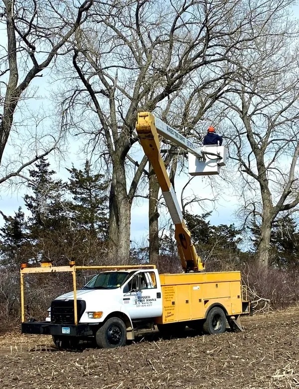 Tree Care Work